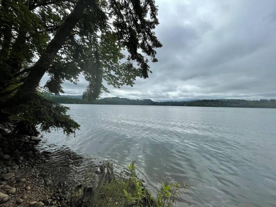 Romantic Cozy Cabin Walk To Lake Hot Tub Bikes Kayaks Grill Onalaska Exteriör bild